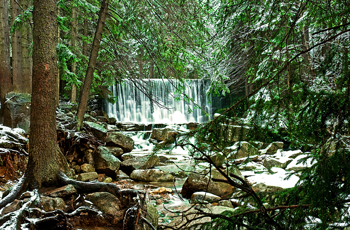 Portret przy naturalnym świetle — efekt kursu fotografii